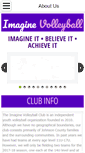 Mobile Screenshot of imaginevolleyball.com